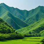 ** A serene landscape of North Korean mountains covered in lush green forest, showcasing diverse trees. Focus on natural beauty. "Safe for work," "appropriate content," "fully clothed" (implied, landscape only), perfect composition, professional photography, high quality.

**